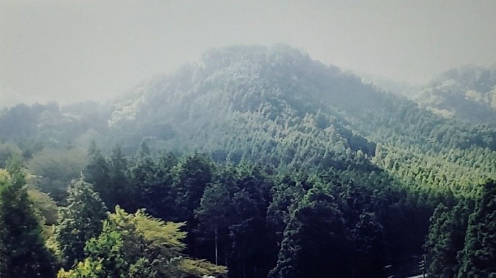 求菩提山の前の山