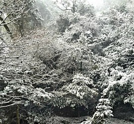 荒行窟籠